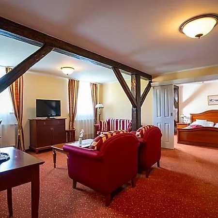 Ld Palace Spa&kur Františkovy Lázně